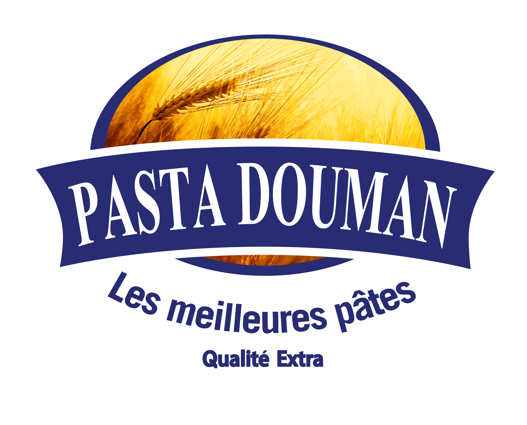logo512
